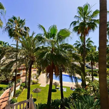 17c Palmas, Oasis
